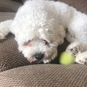 Meet your Posher, Mary